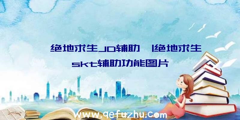 「绝地求生JD辅助」|绝地求生skt辅助功能图片